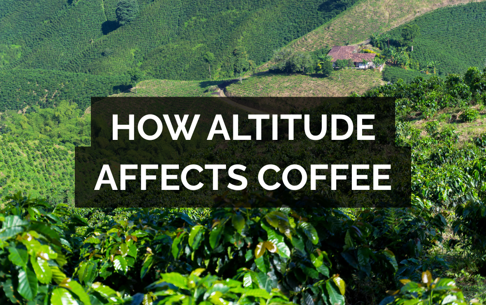 How Elevation Impacts Quality and Flavor